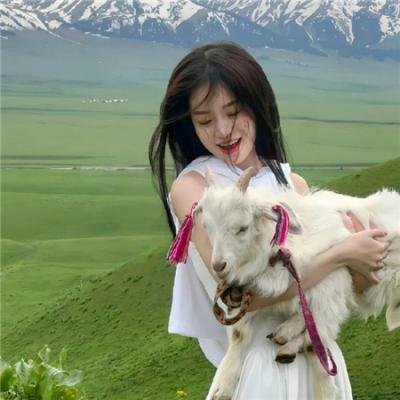 高校功夫女神